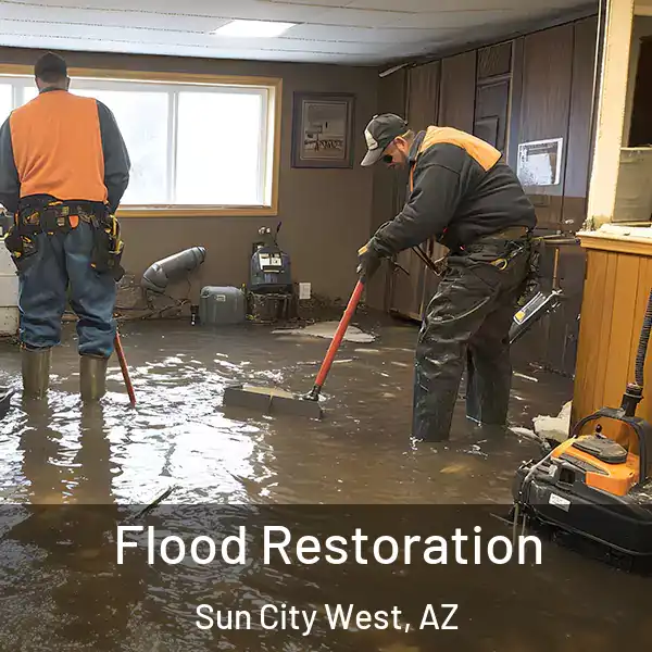  Flood Restoration Sun City West, AZ