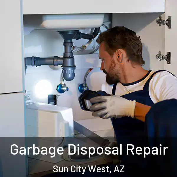  Garbage Disposal Repair Sun City West, AZ