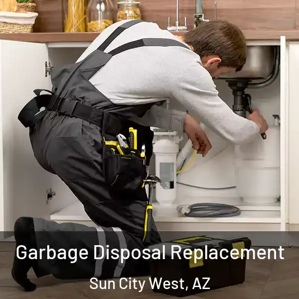  Garbage Disposal Replacement Sun City West, AZ