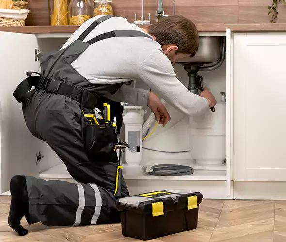 Certified Plumbers for Insinkerator Installation in Sun City West