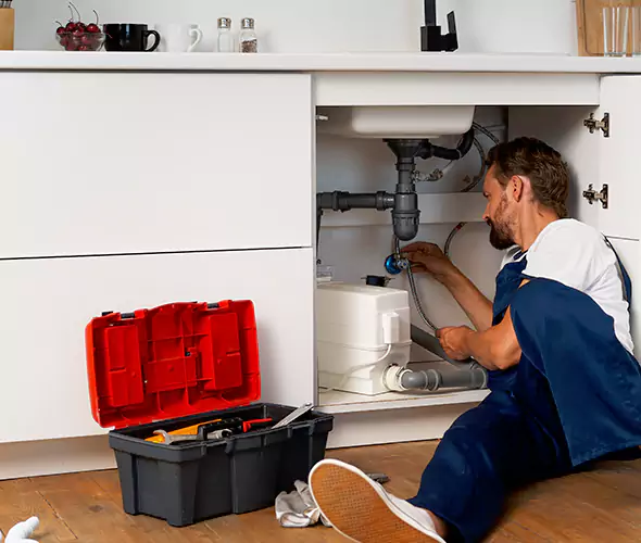 Trusted Plumber for Polybutylene Plumbing Replacement in Sun City West, AZ: Schedule Reliable Replacement Services with Us