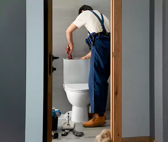 Professional Plumbers for Toilet Bowl Replacement in Sun City West, AZ: Schedule Affordable Toilet Replacement Services With Us