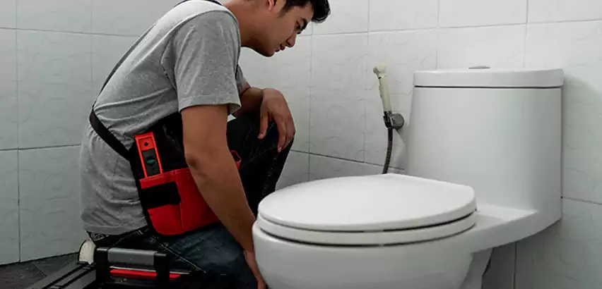Toilet Repair in Sun City West