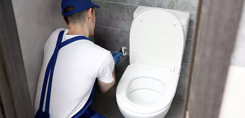Toilet Lid Replacement in Sun City West