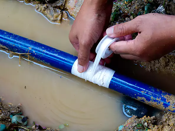  Why Choose Prestige Plumbing Sun City AZ for Leak Detection in Sun City West, AZ?]