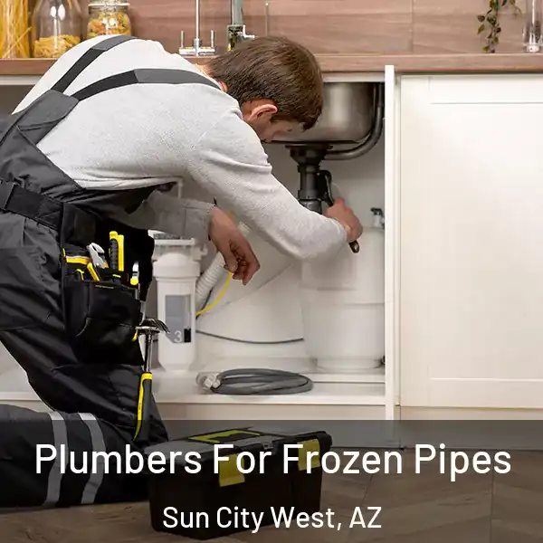  Plumbers For Frozen Pipes Sun City West, AZ