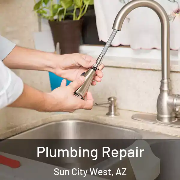  Plumbing Repair Sun City West, AZ