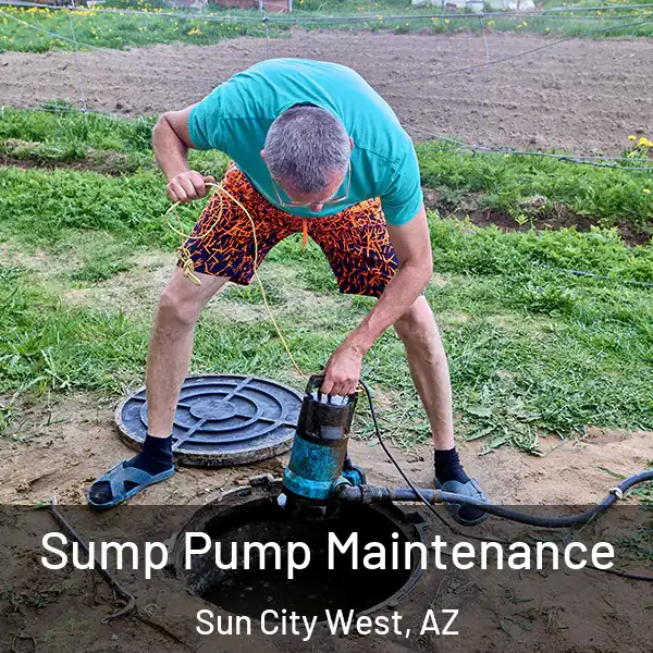 Sump Pump Maintenance Sun City West, AZ