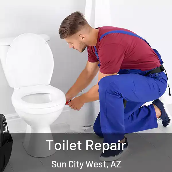  Toilet Repair Sun City West, AZ