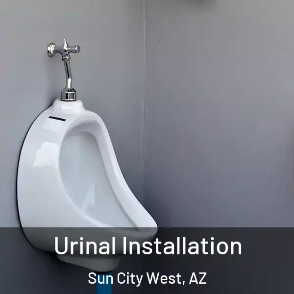  Urinal Installation Sun City West, AZ