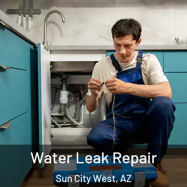  Water Leak Repair Sun City West, AZ